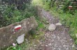 Trail ad anello San Pietro di Rovereto - Campodonico - Monte Anchetta