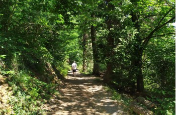 Rundweg auf dem Monte di Portofino von San Lorenzo nach Olmi und Gave