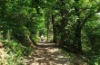 Rundweg auf dem Monte di Portofino von San Lorenzo nach Olmi und Gave