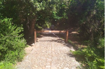 Boucle de sentier sur le Mont de Portofino de San Lorenzo à Olmi et Gave.