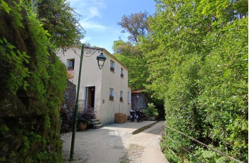 Ring trail on Mount Portofino from San Lorenzo to Olmi and Gave.