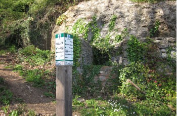 Ring trail on Mount Portofino from San Lorenzo to Olmi and Gave.