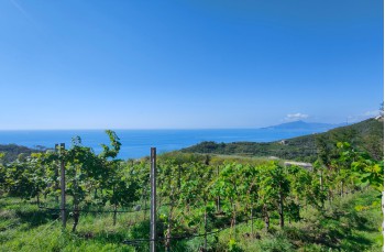 Rundweg von Cavi di Lavagna zu den Rocche di Sant'Anna