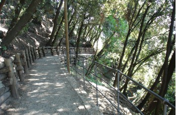 Route zu Fuß von San Rocco di Camogli nach Punta Chiappa