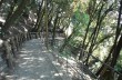 Route zu Fuß von San Rocco di Camogli nach Punta Chiappa