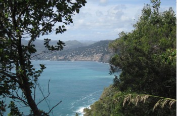 Route zu Fuß von San Rocco di Camogli nach Punta Chiappa