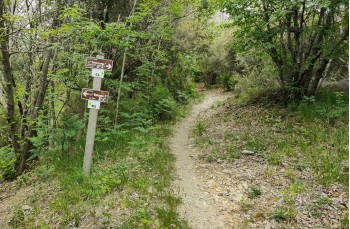 Loop trail  from Colle Caprile to Lumarzo