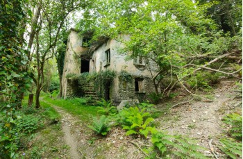 Trail ad anello da Colle Caprile a Lumarzo