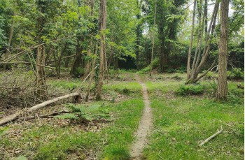 Trail ad anello da Colle Caprile a Lumarzo
