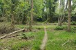 Loop trail  from Colle Caprile to Lumarzo