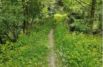 Trail ad anello da Colle Caprile a Lumarzo