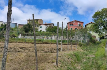 Loop trail  from Colle Caprile to Lumarzo