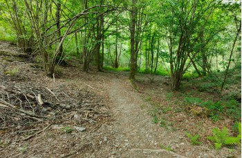 Loop trail  from Colle Caprile to Lumarzo