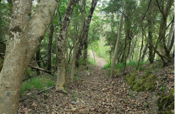 Rundweg  von Colle Caprile und Lumarzo