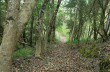 Itinéraire en boucle  de Colle Caprile à Lumarzo