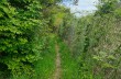 Rundweg  von Colle Caprile und Lumarzo
