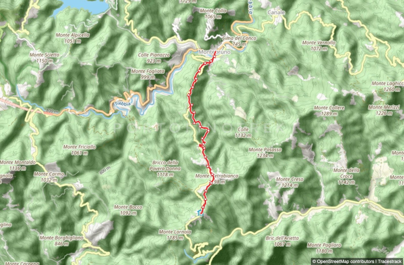 Trail Barbagelata - Montebruno