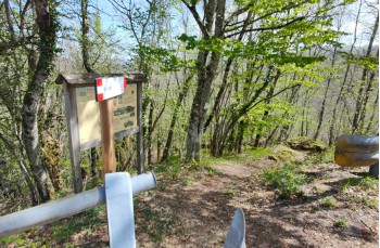 Trail Barbagelata - Montebruno