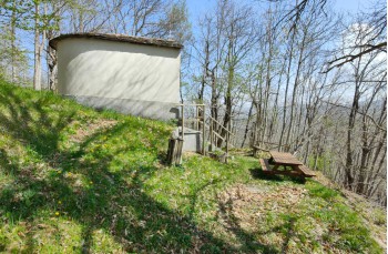 Trail Barbagelata - Montebruno