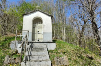 Trail Barbagelata - Montebruno