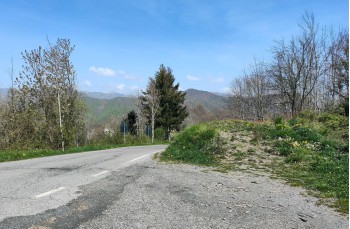 Trail Barbagelata - Montebruno