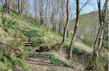 Trail Barbagelata - Montebruno