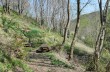 Trail Barbagelata - Montebruno