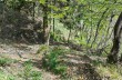Trail Barbagelata - Montebruno