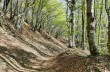 Trail Barbagelata - Montebruno