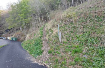Trail Barbagelata - Montebruno