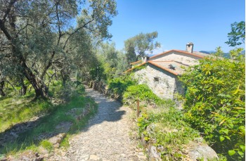 Von Portofino Vetta nach San Rocco di Camogli