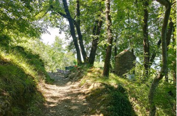Von Portofino Vetta nach San Rocco di Camogli