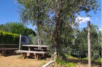 Wanderung zu Fuß von Portofino nach Camogli über Pietre Strette