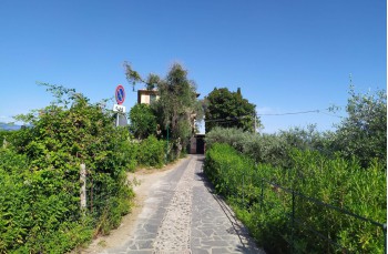 Wanderung zu Fuß von Portofino nach Camogli über Pietre Strette
