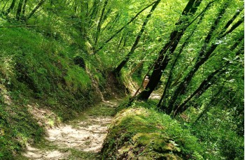 Wanderung zu Fuß von Portofino nach Camogli über Pietre Strette