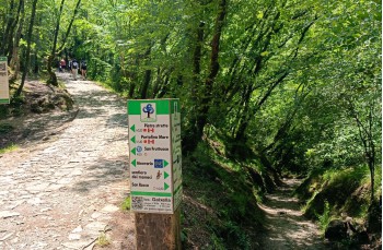Wanderung zu Fuß von Portofino nach Camogli über Pietre Strette