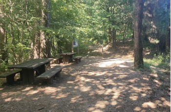 Ein kleiner Rundweg von 5 Kilometern ab San Rocco di Camogli
