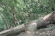 Ein kleiner Rundweg von 5 Kilometern ab San Rocco di Camogli