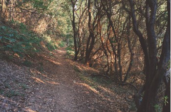 Ein kleiner Rundweg von 5 Kilometern ab San Rocco di Camogli