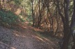 Ein kleiner Rundweg von 5 Kilometern ab San Rocco di Camogli