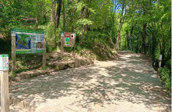 Ein kleiner Rundweg von 5 Kilometern ab San Rocco di Camogli