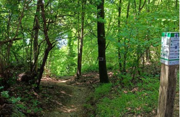 Ein kleiner Rundweg von 5 Kilometern ab San Rocco di Camogli