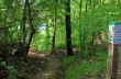 Ein kleiner Rundweg von 5 Kilometern ab San Rocco di Camogli