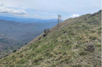 Itinéraire en boucle de Bargone - Bocco di bargone - Monte Alpe