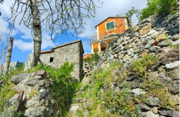 Rundweg Bargone - Bocco di Bargone - Monte Zenone und Monte Alpe
