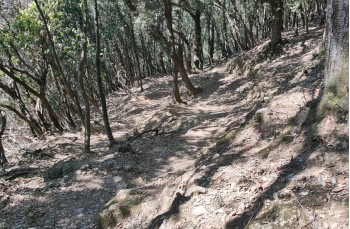 Einer der schönsten Wege des Parks: von San Fruttuoso zur Piazzetta von Portofino