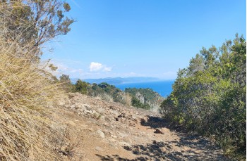 Einer der schönsten Wege des Parks: von San Fruttuoso zur Piazzetta von Portofino