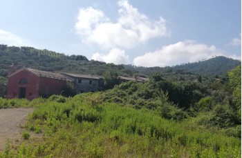 Einer der schönsten Wege des Parks: von San Fruttuoso zur Piazzetta von Portofino