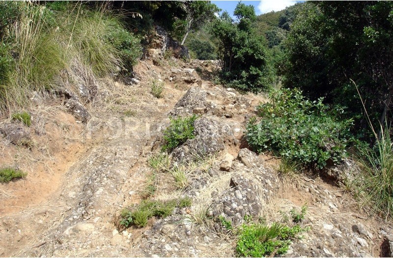 San Rocco San Fruttuoso A Piedi
