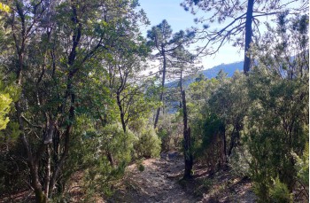 Itinéraire en boucle Santa Vittoria - Villa Loto - Sambuceto